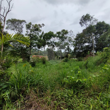 Terreno à venda em Vila Moraes, Mogi das Cruzes, SP