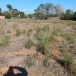 Terreno à venda em Jardim Colombo, Itapetininga, SP