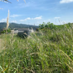 Terreno à venda em Vila Santa Helena, Atibaia, SP