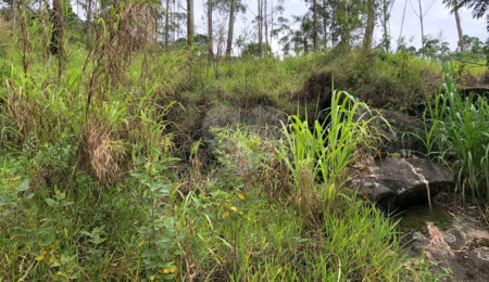 Terreno à venda em Serra da Cantareira, Mairiporã, SP