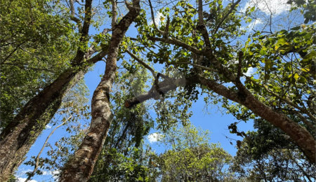 Terreno à venda no condomínio Alpes da Cantareira, Mairiporã - SP