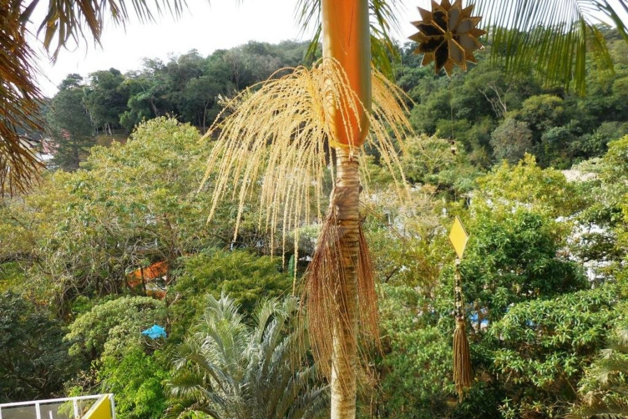 Casa à venda com 3 suítes no condomínio Itatinga I, São Paulo - SP