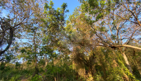 Terreno à venda em Albatroz, Armação dos Búzios, RJ
