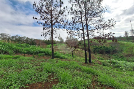 Área de Terra à venda com 1 suíte em Cocais, Itatiba, SP