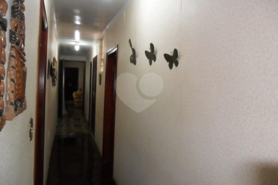 Exuberante no Horto Florestal