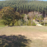 Sítio à venda com 4 quartos, sendo 1 suíte,  em Cruz das Almas, Biritiba-mirim, SP