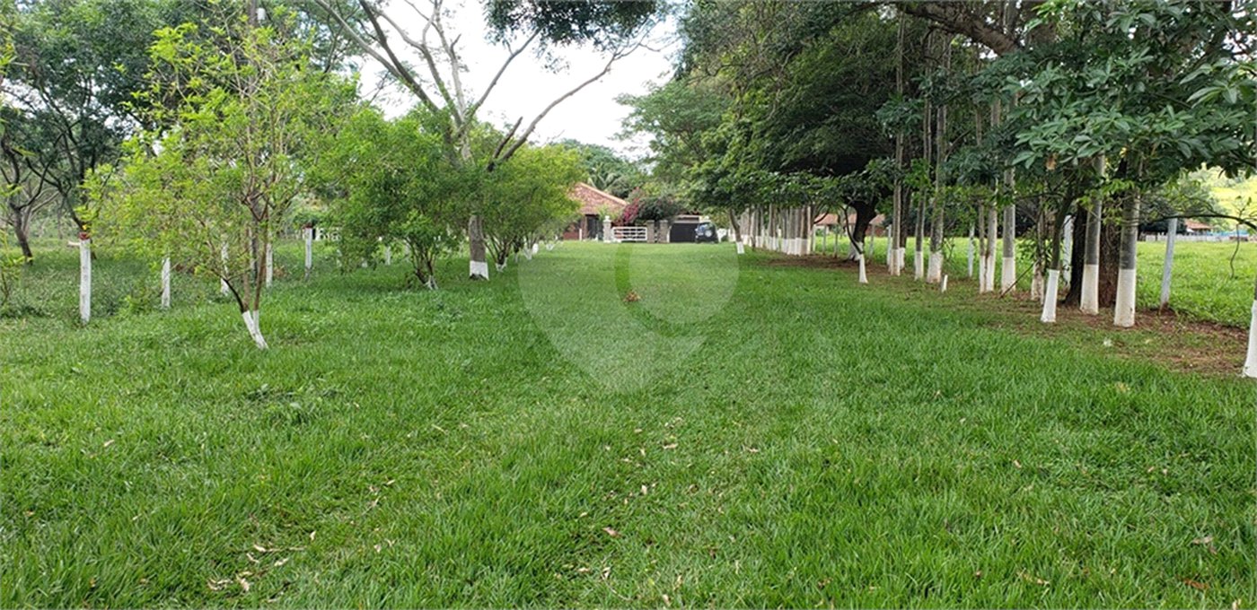 Sitio para venda.
