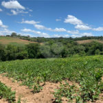 Área de Terra à venda em Cristóvão, Araçoiaba da Serra, SP