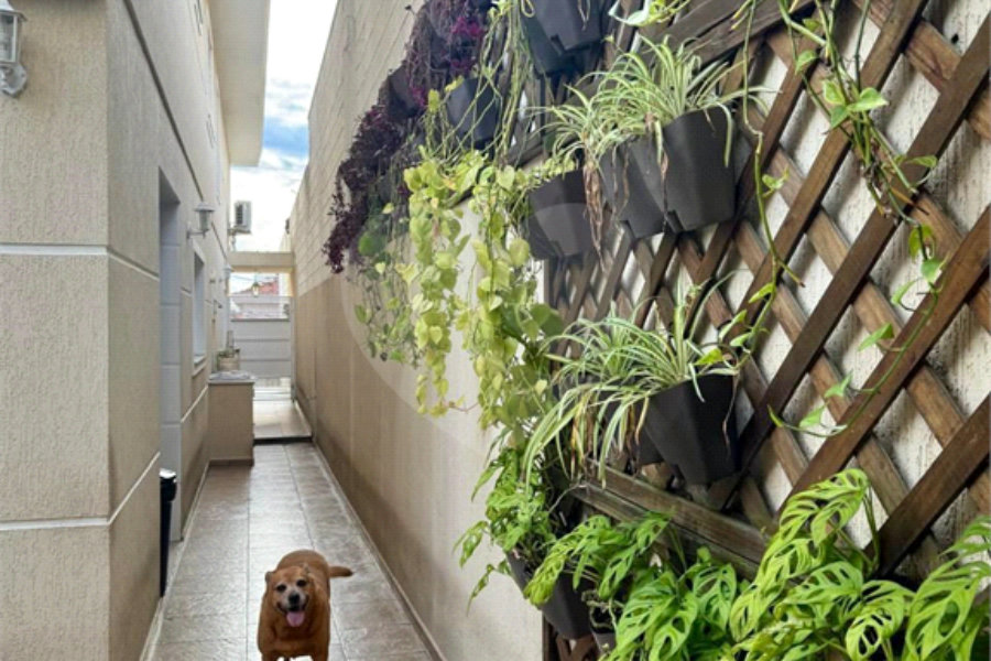 Sobrado à venda com 4 suítes em Vila Guilherme, São Paulo, SP