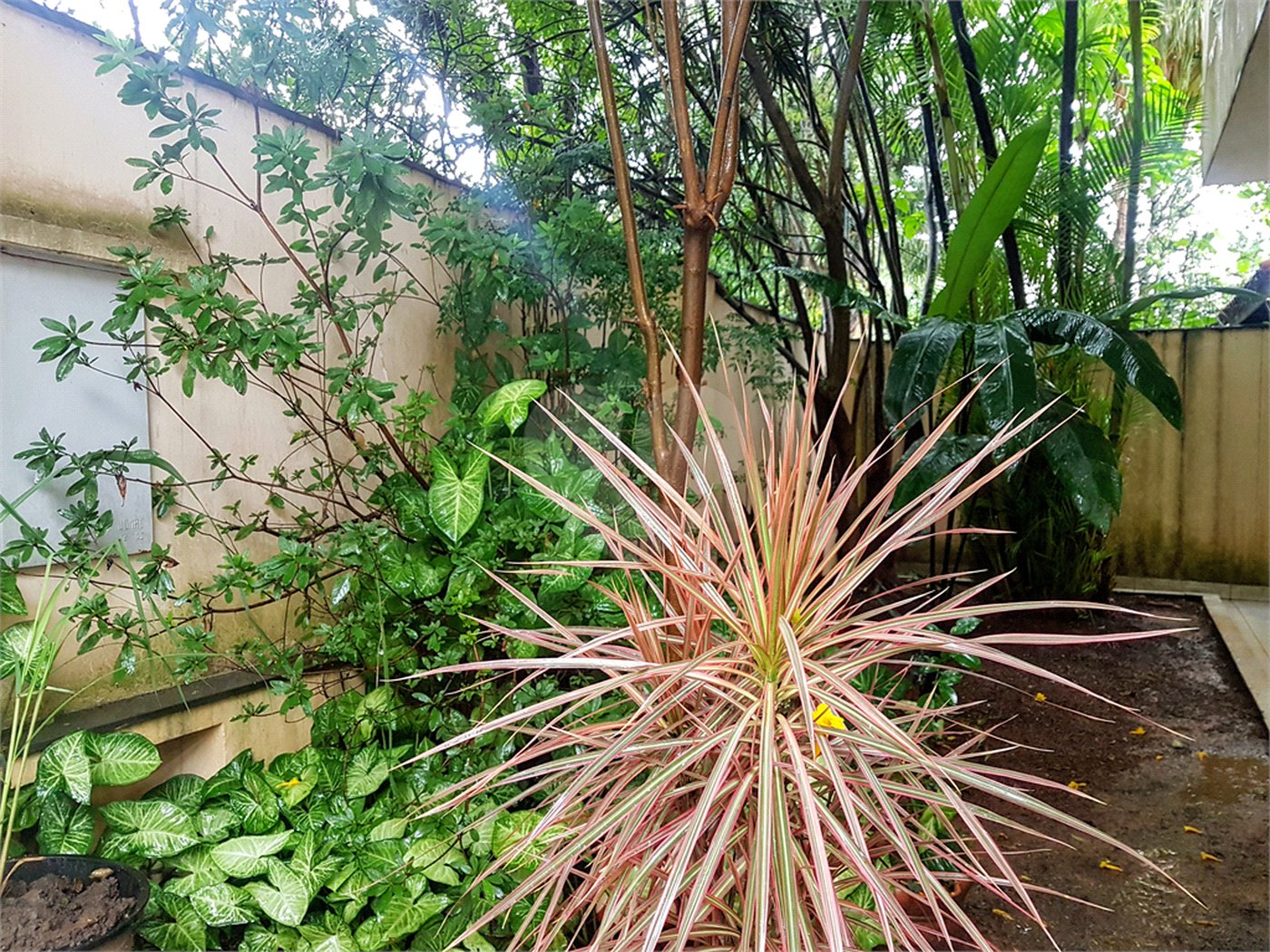 Casa à venda com 3 quartos, sendo 1 suíte, em Santo Amaro, São Paulo, SP