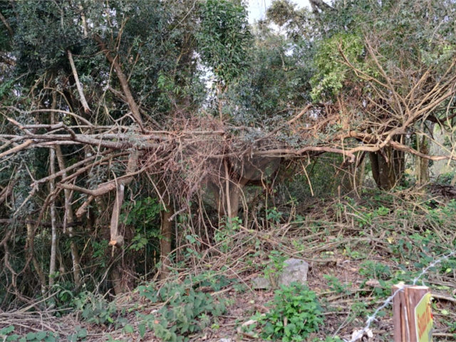 Terreno à venda no condomínio Alpes da Cantareira, Mairiporã - SP