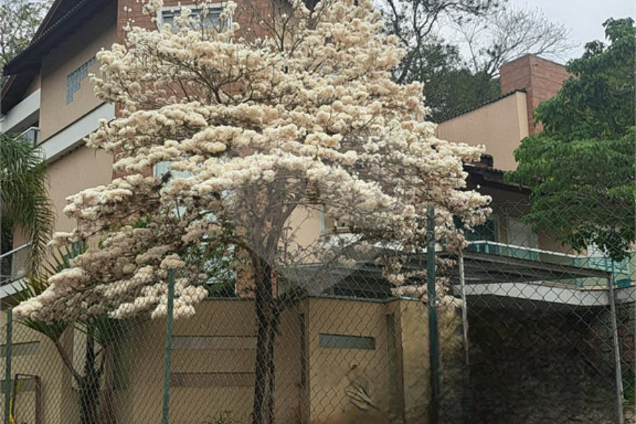 Apartamento à venda com 3 quartos, sendo 1 suíte, em Jardim Peri, São Paulo, SP