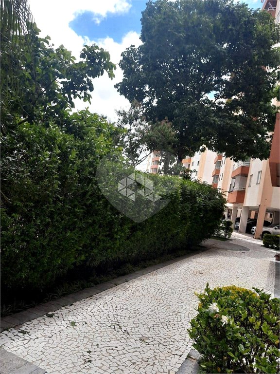 Apartamento à venda com 3 quartos em Vila Matilde, São Paulo, SP