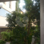 Apartamento à venda com 2 quartos em Vila Nova Mazzei, São Paulo, SP