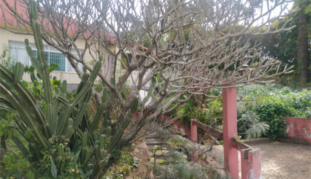 Terreno à venda com 3 quartos, sendo 1 suíte,  em Tremembé, São Paulo, SP