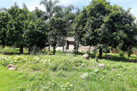 Terreno à venda em Cachoeira, Vinhedo, SP