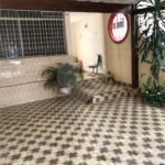 Sobrado à venda com 2 quartos em Mandaqui, São Paulo, SP