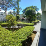 Apartamento à venda com 2 quartos, sendo 1 suíte, em Mandaqui, São Paulo, SP