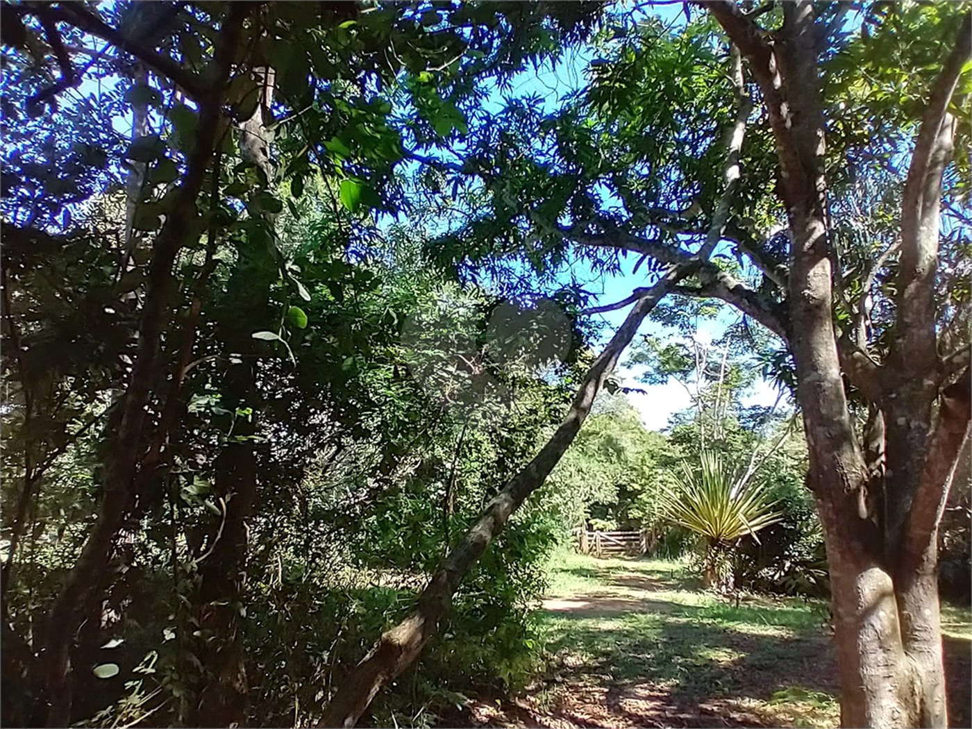 Casa à venda com 1 quarto em Vila Verde, Armação dos Búzios, RJ