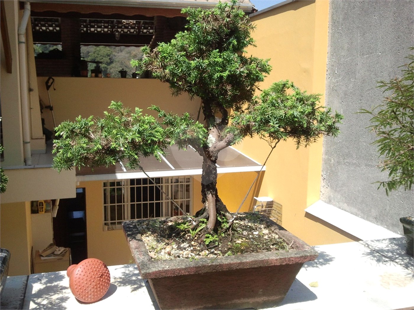 Casa Térrea à venda com 2 quartos, sendo 1 suíte,  em Horto Florestal, São Paulo, SP