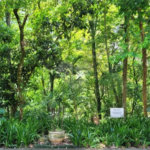 Sobrado à venda com 4 suítes em Jardim Olympia, São Paulo, SP