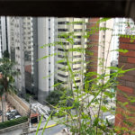 Apartamento à venda com 3 quartos, sendo 2 suítes, em Perdizes, São Paulo, SP