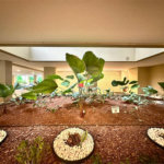 Apartamento à venda com 3 suítes em Mandaqui, São Paulo, SP
