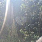 Condomínio à venda em Serra da Cantareira, Mairiporã, SP
