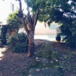 Terreno à venda com 2 quartos em Vila Nova Cachoeirinha, São Paulo, SP