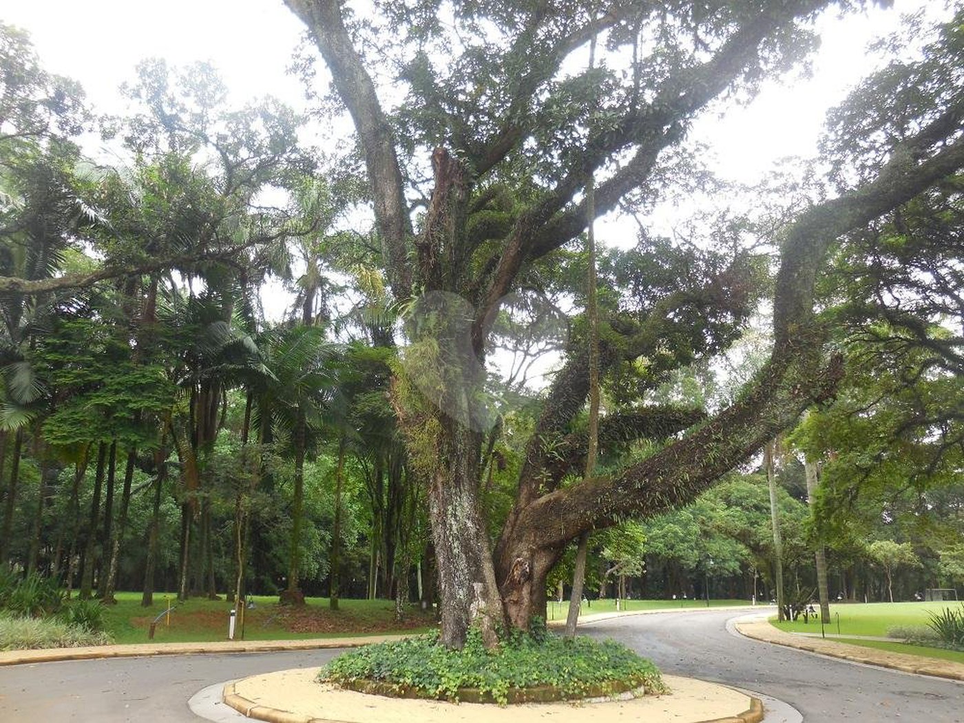 Terreno à venda em Alto da Boa Vista, São Paulo, SP