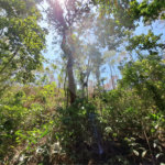 Terreno à venda em Serra da Cantareira, Mairiporã, SP