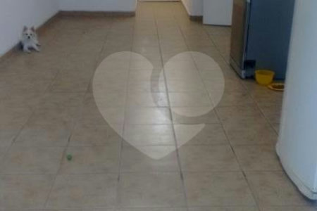 Apartamento à venda com 2 quartos em Santana, São Paulo, SP
