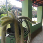 Chácara à venda com 4 quartos, sendo 2 suítes,  em Chácara Sete Quedas, Itu, SP