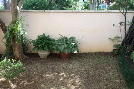 Casa à venda com 3 quartos, sendo 1 suíte, em Santana, São Paulo, SP
