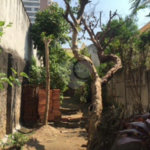 Sobrado à venda ou para alugar com 3 suítes em Santa Teresinha, São Paulo, SP