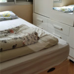 Apartamento à venda com 3 quartos, sendo 1 suíte,  em Vila Aurora (zona Norte), São Paulo, SP