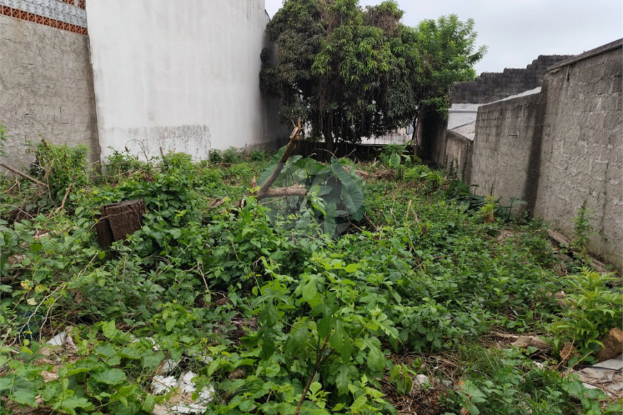 Terreno à venda com 1 suíte em Vila Constança, São Paulo, SP