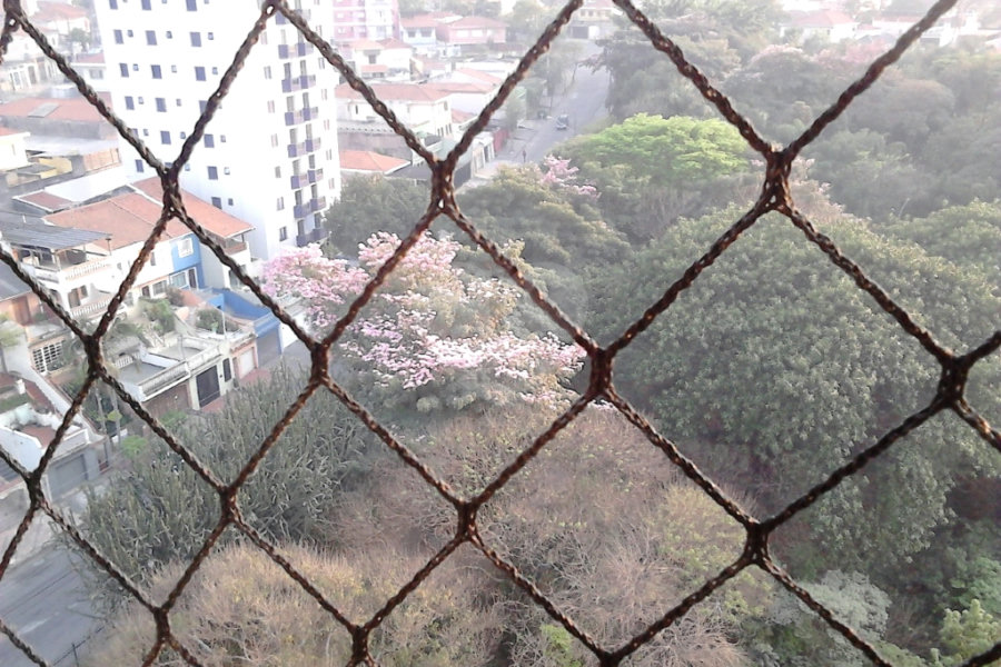 Cobertura à venda com 4 quartos, sendo 1 suíte, em Parque Novo Mundo, São Paulo, SP