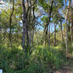 Terreno à venda no condomínio Sausalito, Mairiporã - SP
