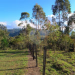 Terreno à venda em Área Rural de Mairiporã, Mairiporã, SP