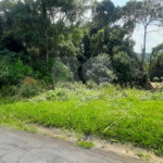 Terreno à venda no condomínio Associação Reserva das Hortênsias, Mairiporã - SP