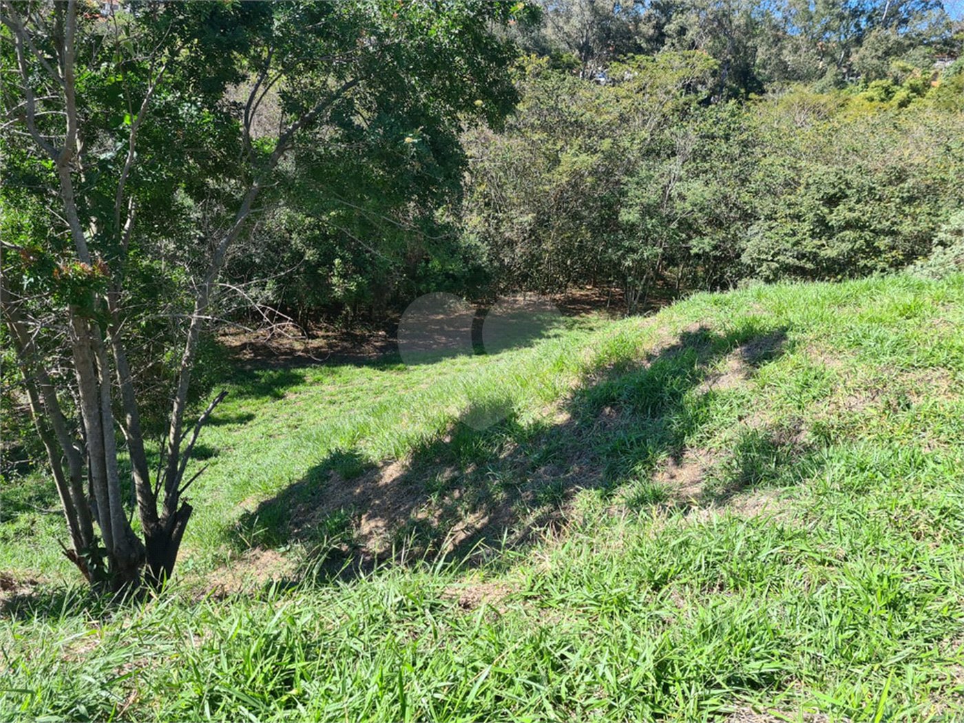 Terreno à venda em Bosque, Vinhedo, SP