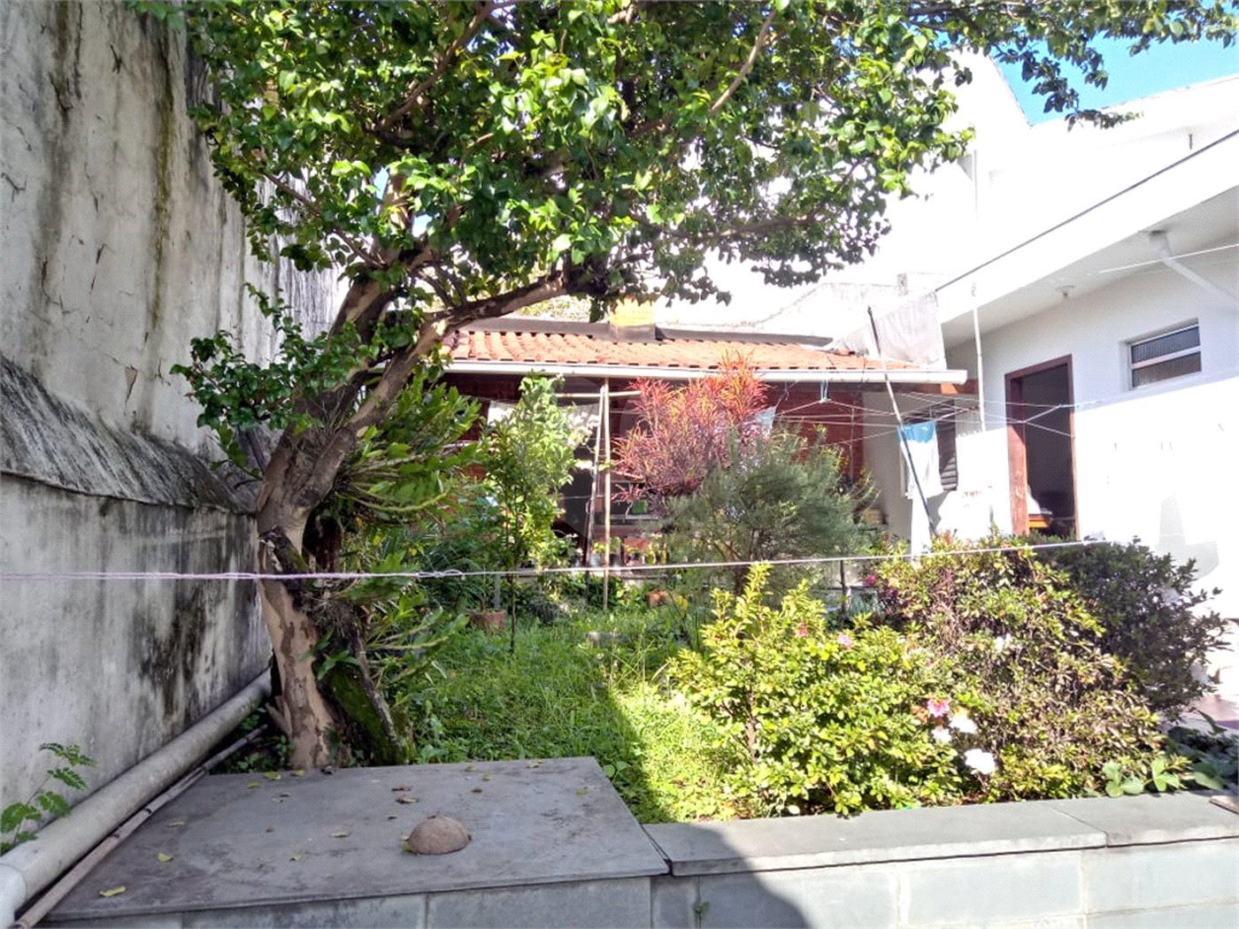 Casa Térrea à venda com 3 quartos, sendo 1 suíte, em Vila Paulicéia, São Paulo, SP