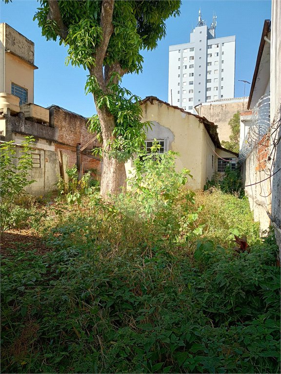 Galpão à venda com 3 quartos em Jardim Previdência, São Paulo, SP