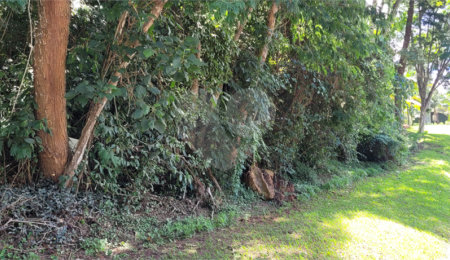 Terreno à venda em Serra da Cantareira, Mairiporã, SP