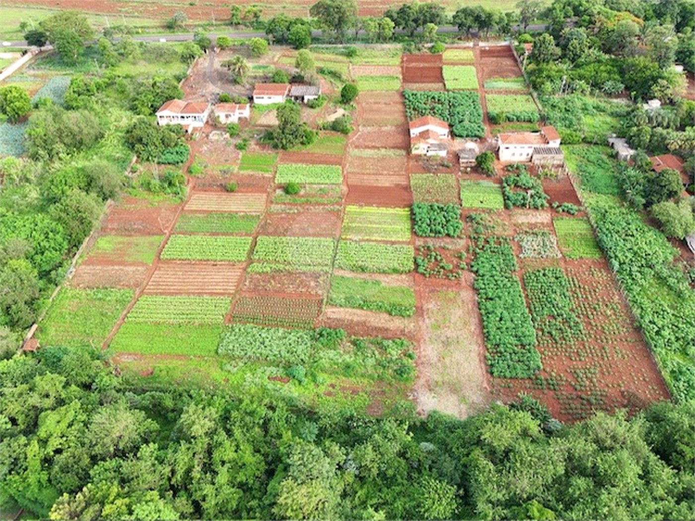 Terreno à venda em Jardim Itaú, Ribeirão Preto, SP