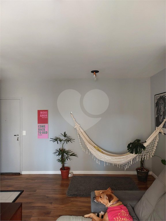 Apartamento à venda com 3 quartos, sendo 1 suíte, em Tucuruvi, São Paulo, SP