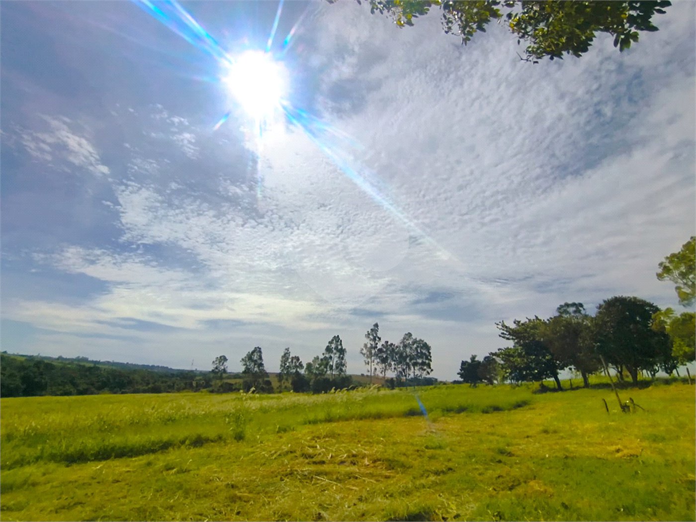 Sítio à venda com 3 quartos em Campo de Boituva, Boituva, SP