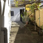 Terreno à venda em Santa Teresinha, São Paulo, SP