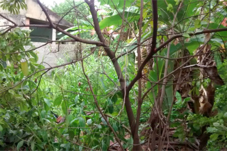 Casa Térrea à venda com 3 quartos em Tomazinho, São João de Meriti, RJ